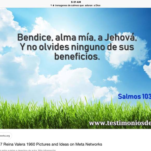 paularoy72501